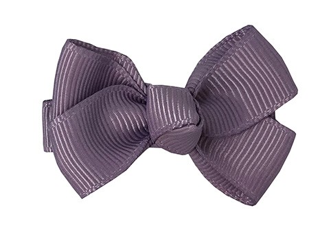 Estelle flieder 5 cm