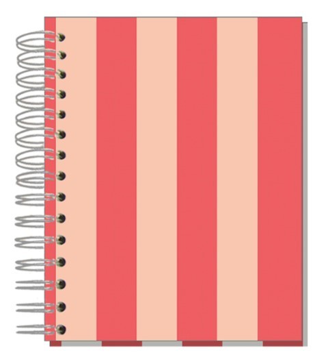 Buch A5 Streifen Korall Rosé