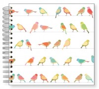 Fotoalbum 24x24 Birdy-Vogelparade Fotoalbum 24x24 Birdy-Vogelparade