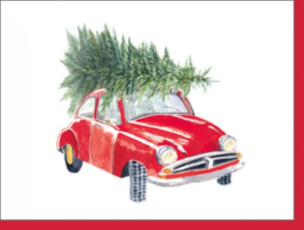 Minik. Auto mit Weihnachtsbaum