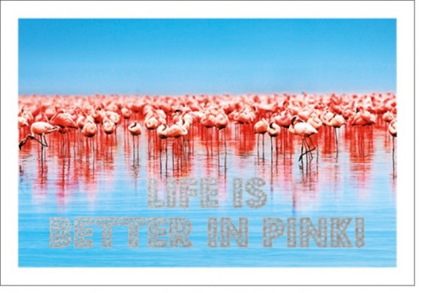Umschlagk. LM Flamingos