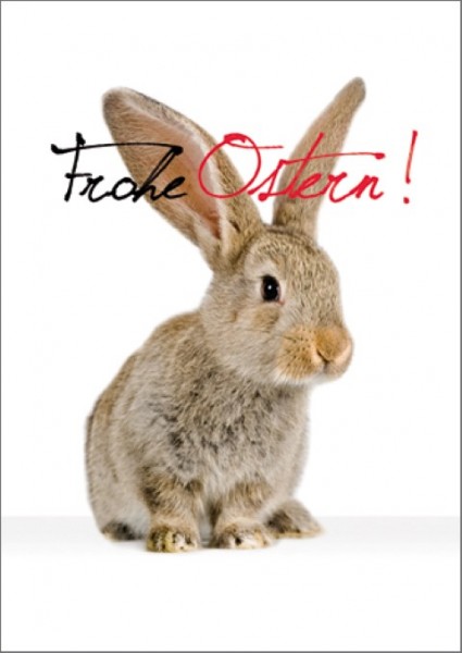 Postk. Frohe Ostern