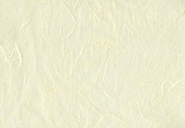 Naturseide beige93x63