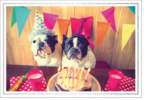 Umschlagk. LM Geburtstag Hunde