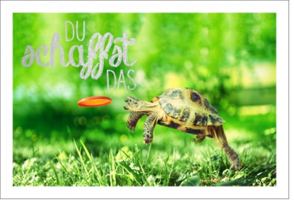 Umschlagk. LMA Schildkröte schaffen