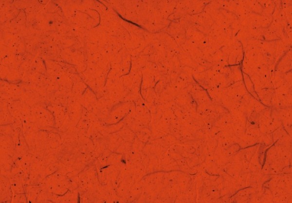 Silk Paper orange 50x70