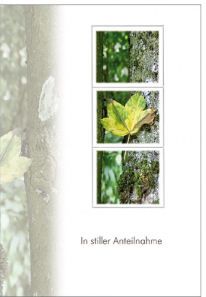 Umschlagk. Stille Anteilnahme
