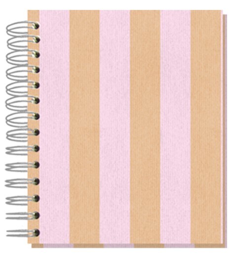 Buch 12x15 Shabby Streifen rosa