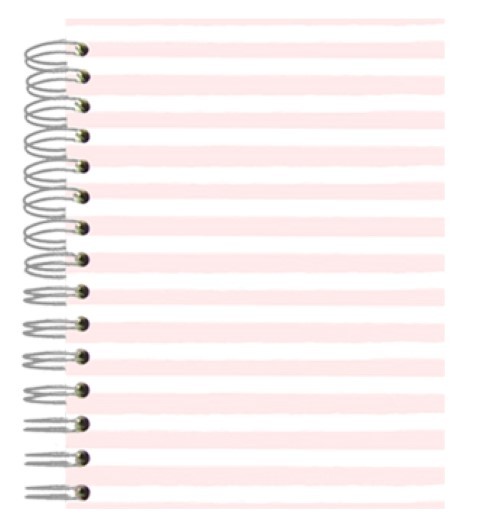 Buch A5 Pink Stripes