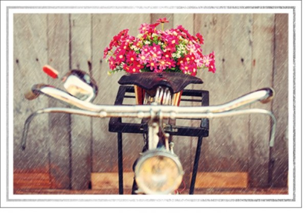 Umschlagk. LM Fahrrad mit Blumen