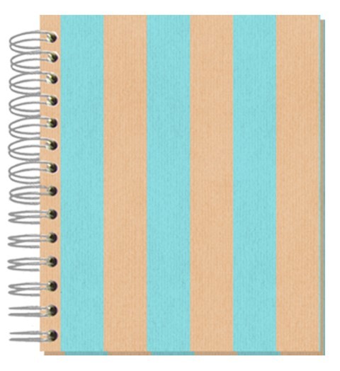 Buch 12x15 Shabby Streifen türkis