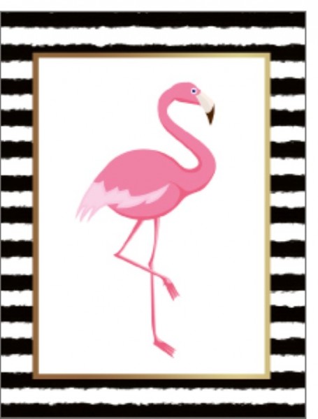 Minik. Flamingo