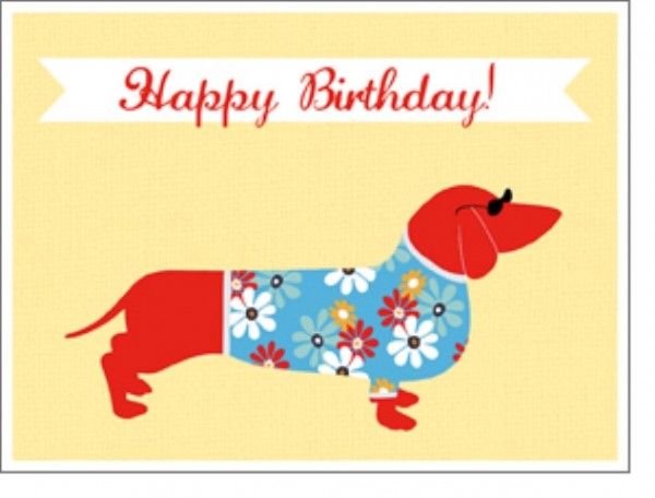 Minik. Happy Birthday Dog