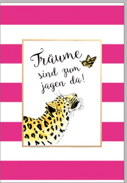 Umschlagk. Träume jagen