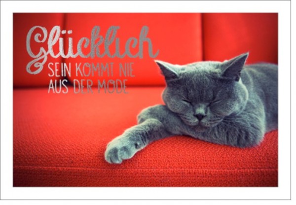 Umschlagk. LMA Katze Glücklich